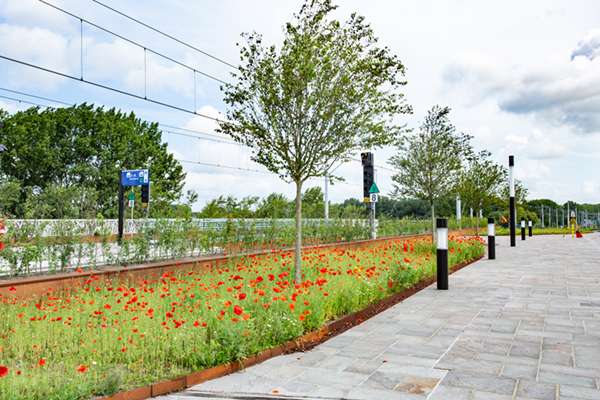 RandstadRail Lansingerland-Zoetermeer een uniek station met groen verblijfsdak